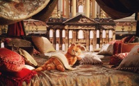 Гарфилд 2 История двух кошечек / Garfield A Tail of Two Kitties (Дженнифер Лав Хьюитт, 2006) FLrBmrSN