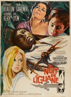 Ночь Игуаны / The Night of the Iguana (1964) L2nDfLTe