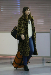 Dakota Johnson - Arriving at JFK Airport in New York City - February 5, 2015 - 13xHQ LPZowl2X